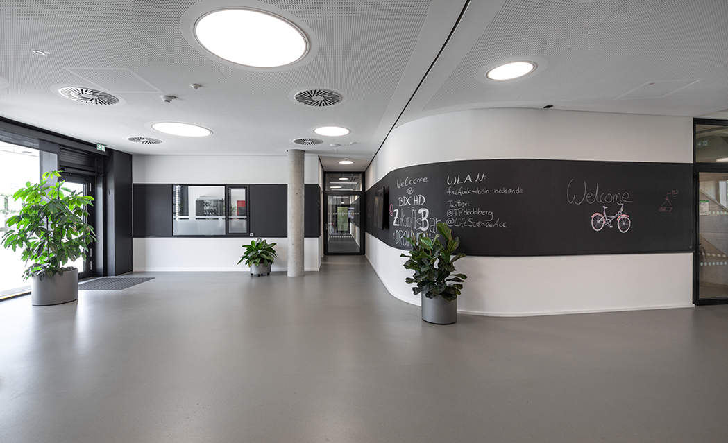 Heidelberg Business Development Center Organic Elektronics